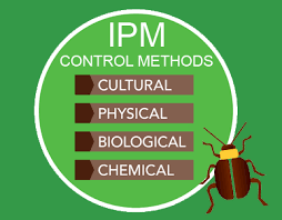 Pest control in india
